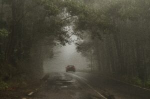 fog driving
